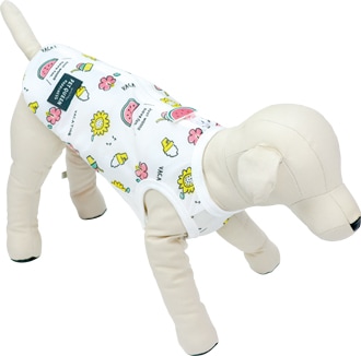 ��2026ǯ�ղƿ����ʡۥ��֥�ǥ����ޡ������Ƴ����ۡ�����ޥݥ��å��ա�