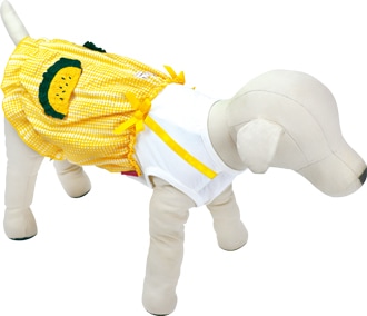 ��2026ǯ�ղƿ����ʡۥ������ݥå�����˥å�������ޥݥ��å��աۡڥ�����ù���