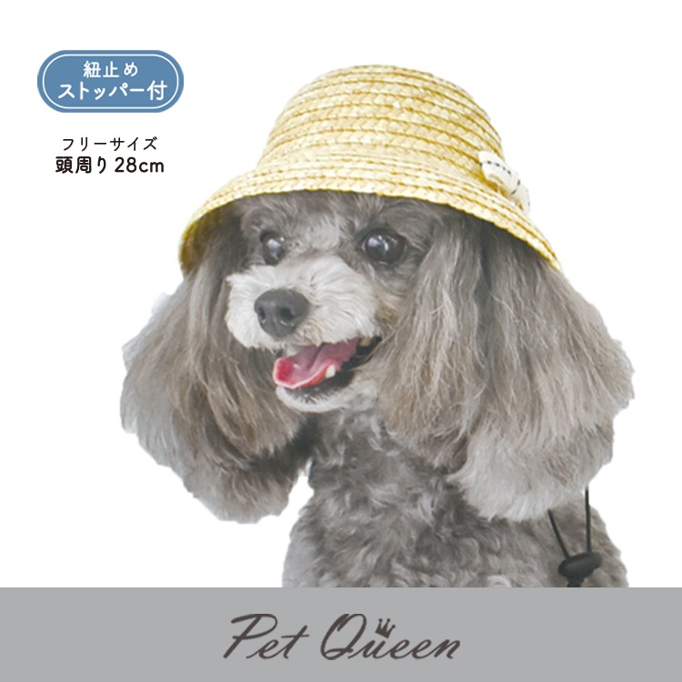 ڽղʪۡPQܡۥåϥå