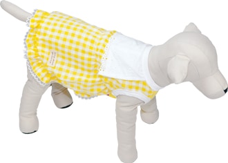 2025ǯղƿʡۥ󥬥졼ԡޥݥåȡ