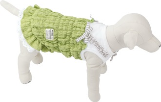 2025ǯղƿʡۥ奯ԡޥݥåȡ
