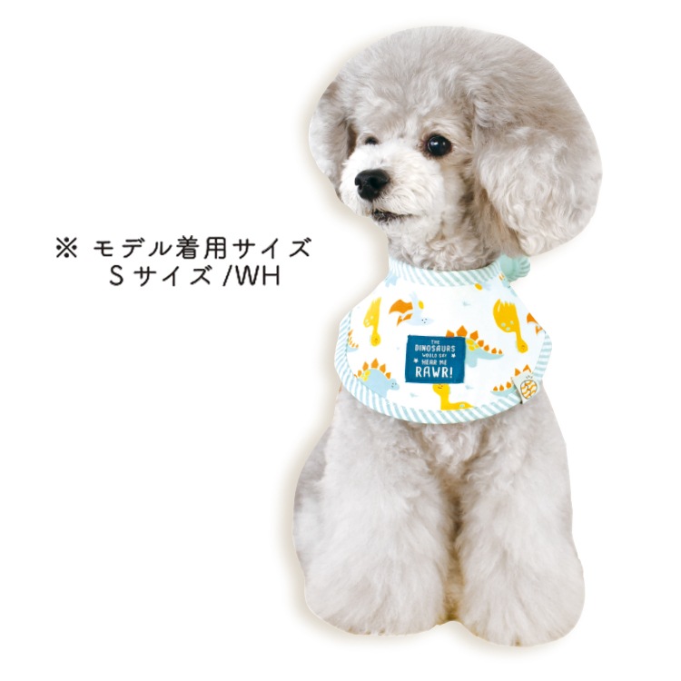 �ڽղƾ��ʡۥ�����Х���ʡʥ����ʥ����ˡ�L������