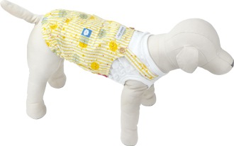 2025ǯղƿʡۤƤ󤭥ѡޥݥåȡ