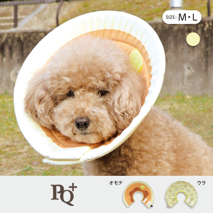 PQ+ۥꥶ٥顼ʥեȡ˥ѥ󥱡