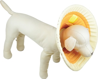 PQ+ۥꥶ٥顼ʥեȡ˥ѥ󥱡