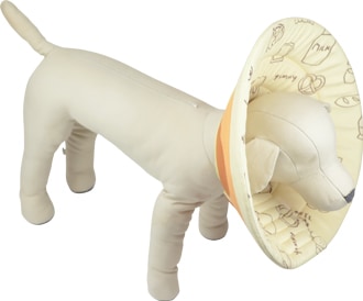 PQ+ۥꥶ٥顼ʥեȡ˥ѥ󥱡