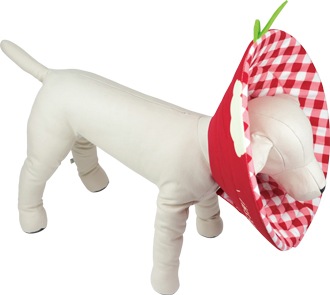 ��PQ+�ۥ��ꥶ�٥����顼�ʥ��եȡ˥��