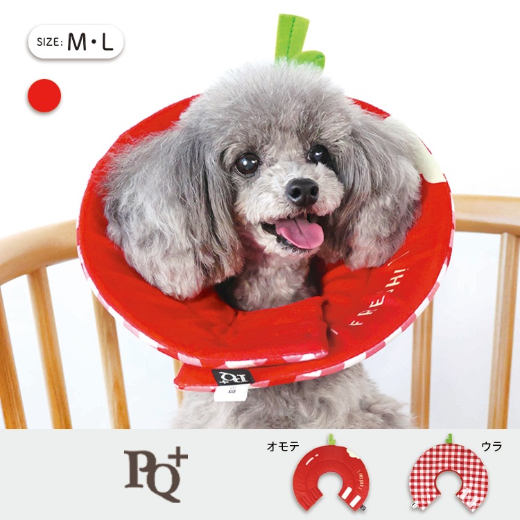 ��PQ+�ۥ��ꥶ�٥����顼�ʥ��եȡ˥��