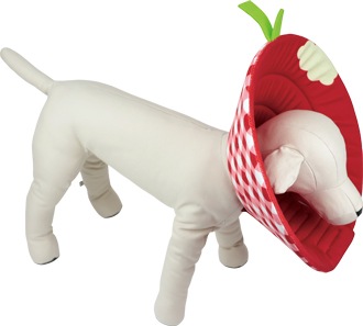 ��PQ+�ۥ��ꥶ�٥����顼�ʥ��եȡ˥��