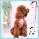 ��Petit��Coussinet��PC���󥬥�����å��ϡ��ͥ���Soft harnese �� lead ��