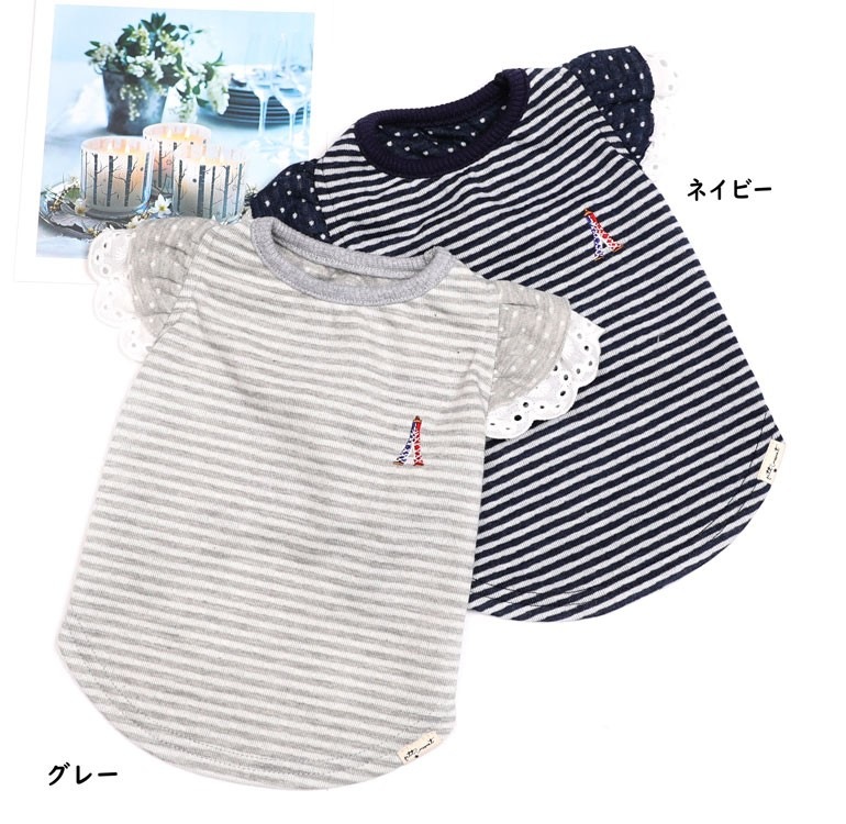 ��Petit��Coussinet�ۥե����ܡ������������åȥ����ġ�Etiquette-suit��