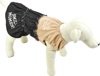 ��2025ǯ���߿����ʡۥ��ƥå��ǥ˥����