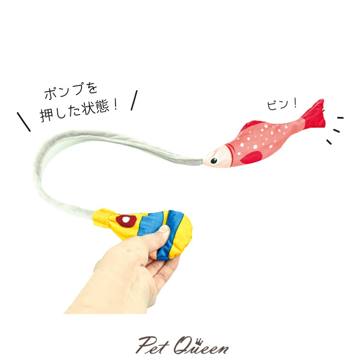 �ڿ����ʡۡ�PQ+��ǭ�����ӥ���