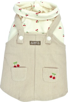 ��2025ǯ���߿����ʡۤ������ܥ���