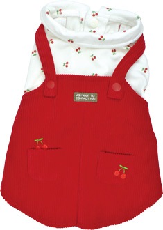 ��2025ǯ���߿����ʡۤ������ܥ���