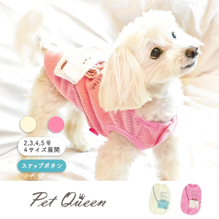 ��2025ǯ���߿����ʡۤ��Ǥ����������ݥå�