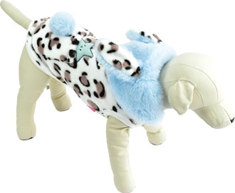 ��2025ǯ���߿����ʡۤ�դ�դ����ѡ�����