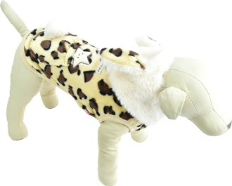 ��2025ǯ���߿����ʡۤ�դ�դ����ѡ�����