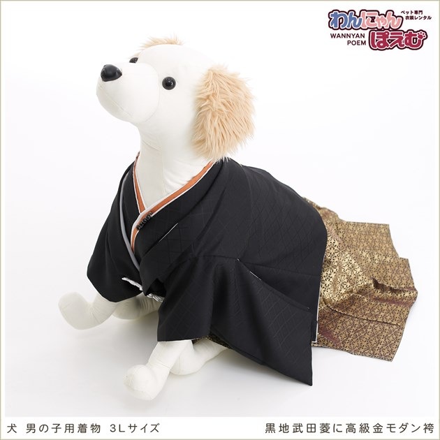 犬の着物レンタル 大型犬のペット着物 男の子のペット貸衣装ならわんにゃんぽえむ