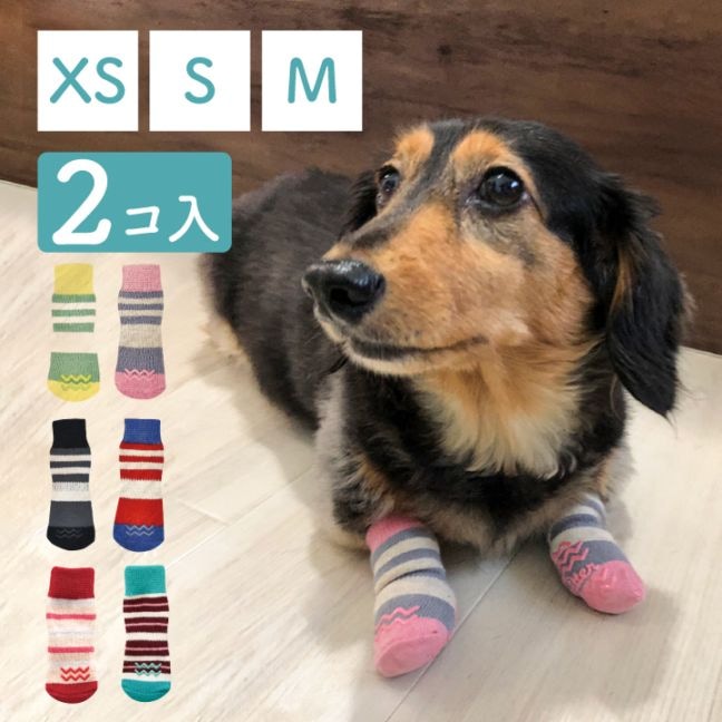 skitter スキッター [PAKS] 2個入