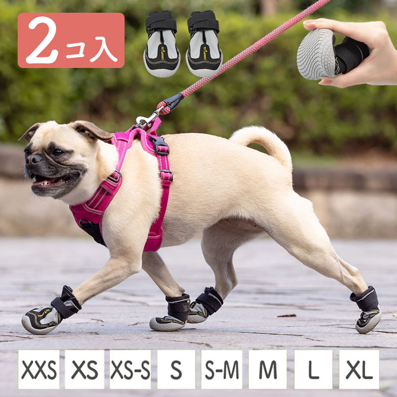 山歩靴 さんぽぐつ [PASS] 2個入