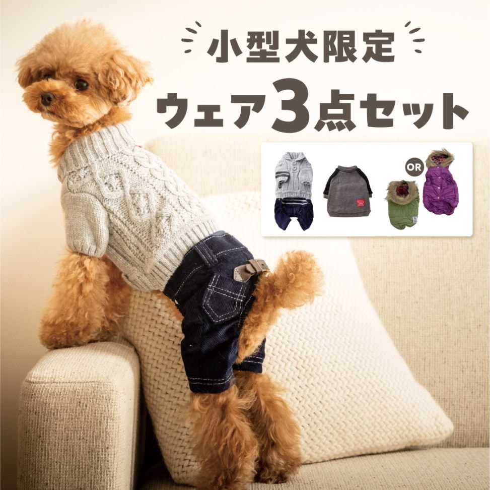 ドッグウェア 3点セット [小型犬向け] 無くなり次第終了　　
