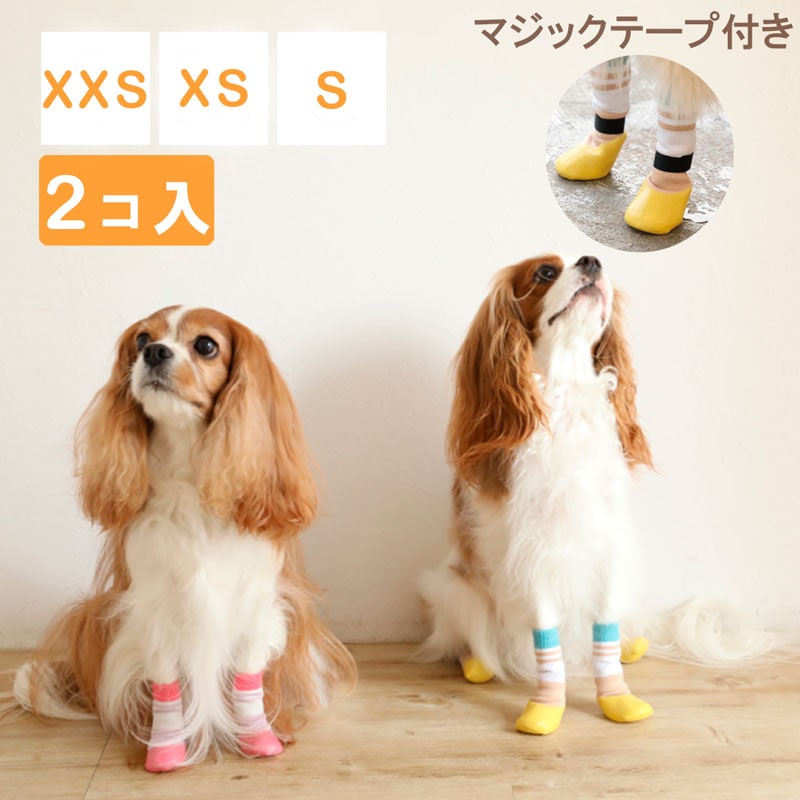 ペットアドバンス公式オンラインストア｜犬用靴・服・ベッド・車いすなど
