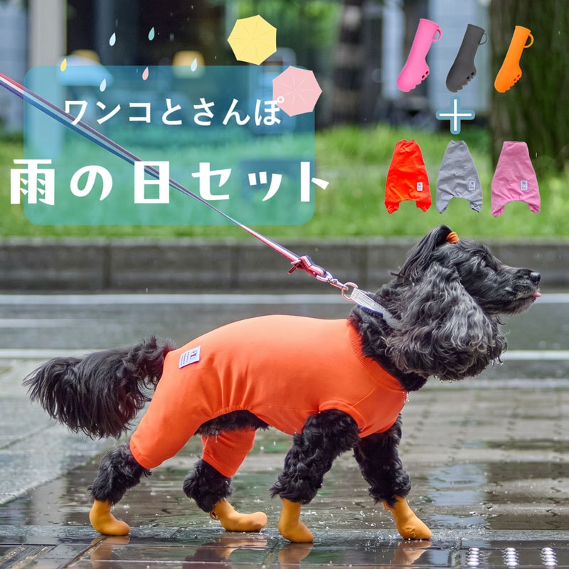 雨の日お散歩セット（パウテクト＋はっ水ウェア）小・中型犬向け