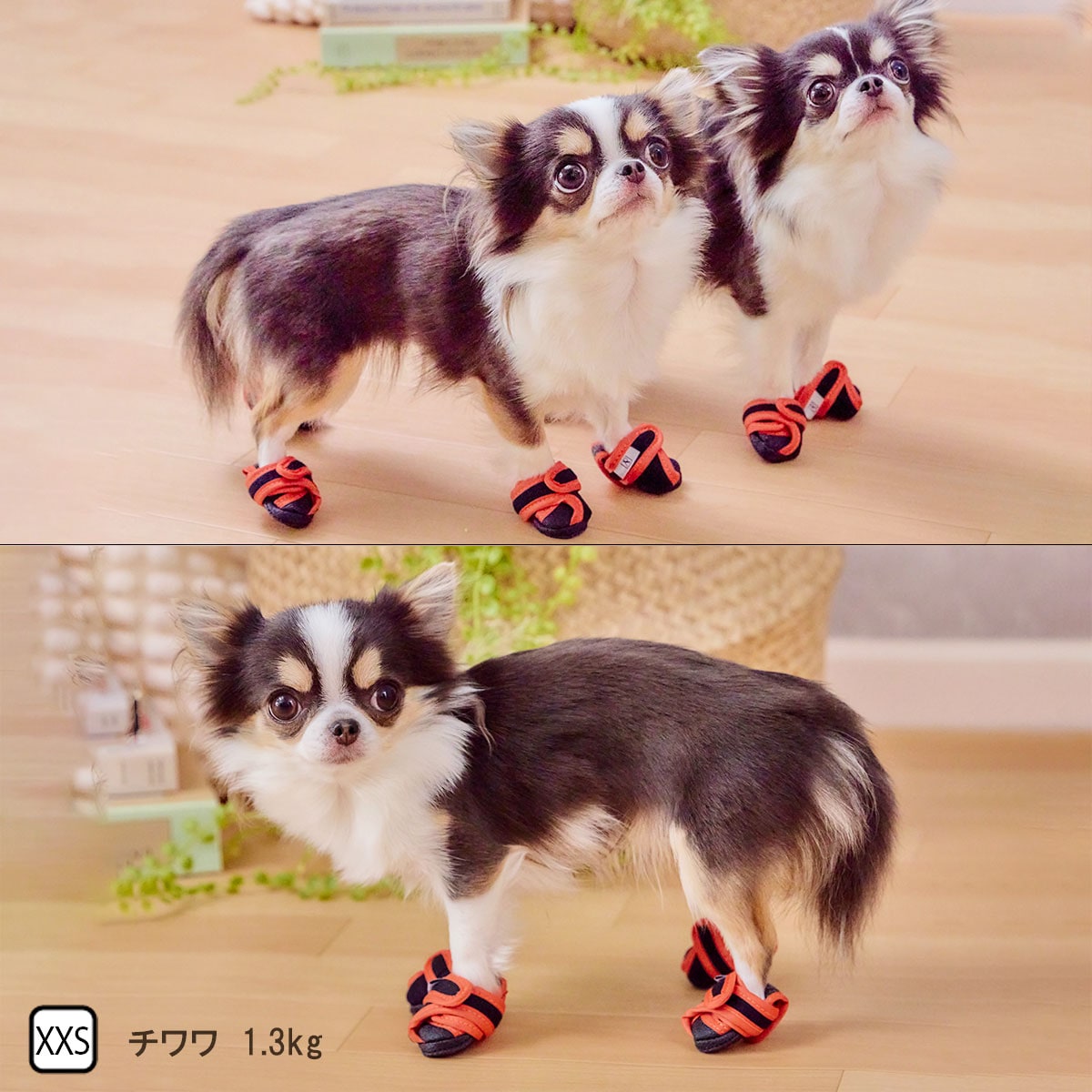 sale☆子犬わたあめ13㎝用☆アウトフィットP＋たっち靴☆４点set☆ New Size】【新発売】いぬたび XXSサイズ「室内用」4個入り [PADT-OR-A
