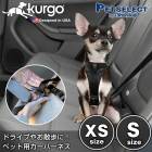 ޡ  ϡͥ XSS Kurgo ɥ饤ѥϡͥ ꡼  ɥ饤     ȥ٥   ɥåϡͥ  ⥰å ȥɥ  ˥