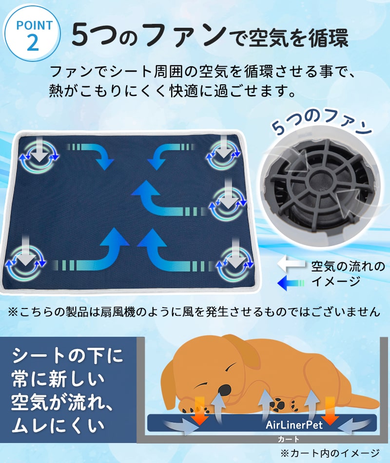 ڥå  륷 AirLinerPet 饤ʡڥå ӥ 5Ĥե Ҥ ܿ䴶  Ф ڥåȥ ꡼ 졼 ƥ ̱     ǭ ڥåȥ٥å ޥå ̵ 뤵к Ǯк