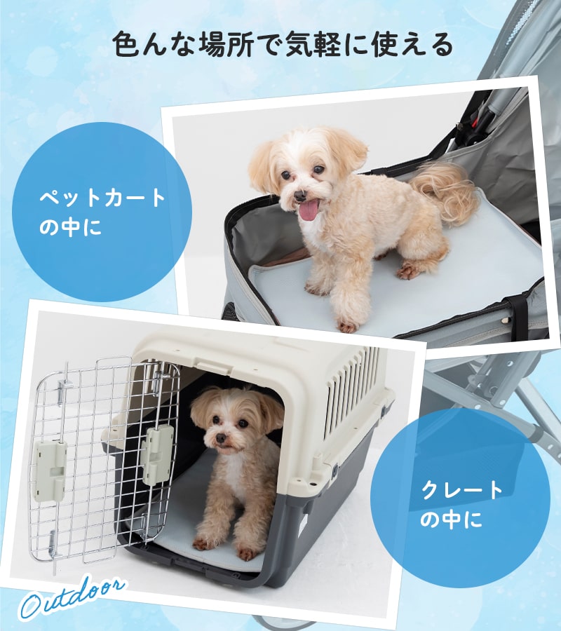ڥå  륷 AirLinerPet 饤ʡڥå ӥ 5Ĥե Ҥ ܿ䴶  Ф ڥåȥ ꡼ 졼 ƥ ̱     ǭ ڥåȥ٥å ޥå ̵ 뤵к Ǯк