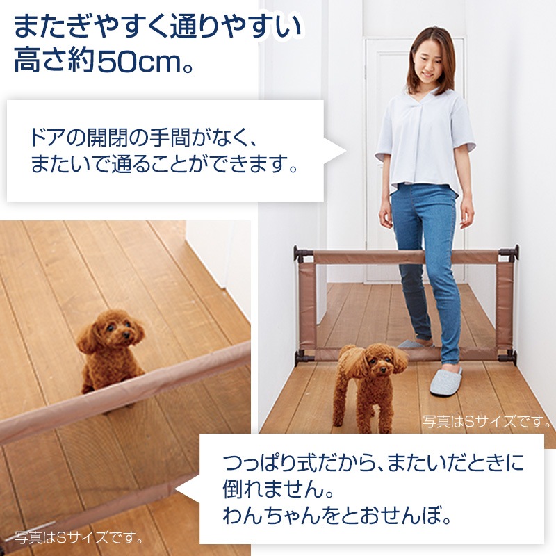 ڥåȥ ȤMϷˤ䤵եȥե󥹡פʡͤĥ   ޤ䤹⤵50cm90140cmڥåȡȡĶ Ϸ ᡡæɻߡӽФɻߡڥåѥȡѥȡ  餫