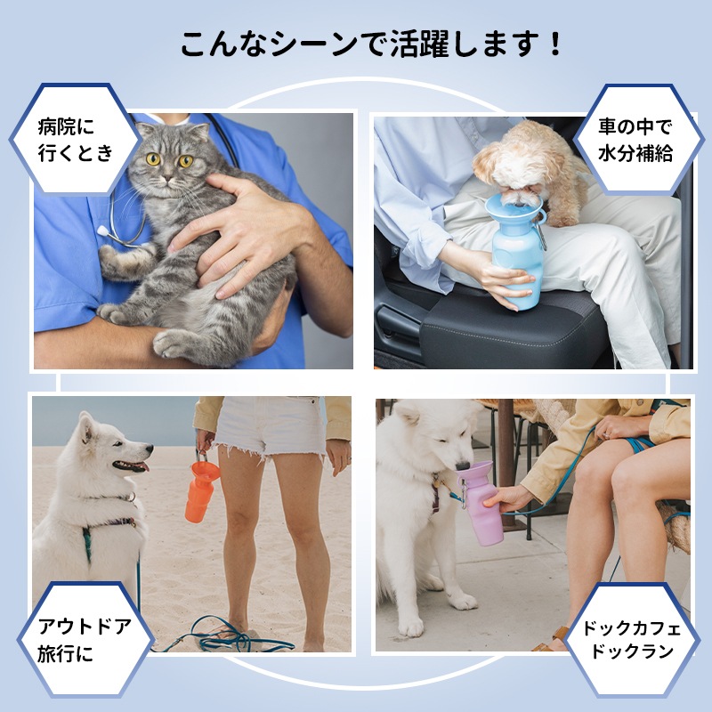 ̵ۥڥå   AUTO PET MUG ȥڥåȥޥ  [650ml ] ܥȥ   ܥȥ   ⥰å  ɺ ɥ饤  ȥɥ  ɥå ڥå ڥå  ǭ Ǯк