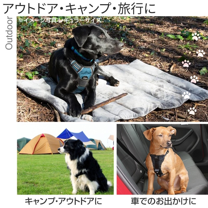 ڥåȥޥå ڥǥ ȥ٥ ٥å  쥮顼 ξ Ȥ   դդ ܥǺ     ڥå ޥå Ф    淿   Ǽݥåդ 쥸㡼  ݸ  ι  ڥå ɥåե scruffs