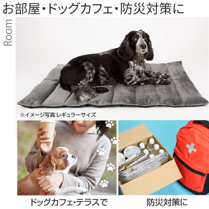 ڥåȥޥå ڥǥ ȥ٥ ٥å  쥮顼 ξ Ȥ   դդ ܥǺ     ڥå ޥå Ф    淿   Ǽݥåդ 쥸㡼  ݸ  ι  ڥå ɥåե scruffs