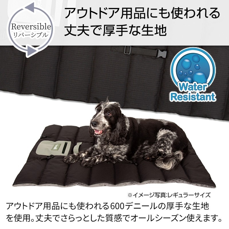 ڥåȥޥå ڥǥ ȥ٥ ٥å  쥮顼 ξ Ȥ   դդ ܥǺ     ڥå ޥå Ф    淿   Ǽݥåդ 쥸㡼  ݸ  ι  ڥå ɥåե scruffs