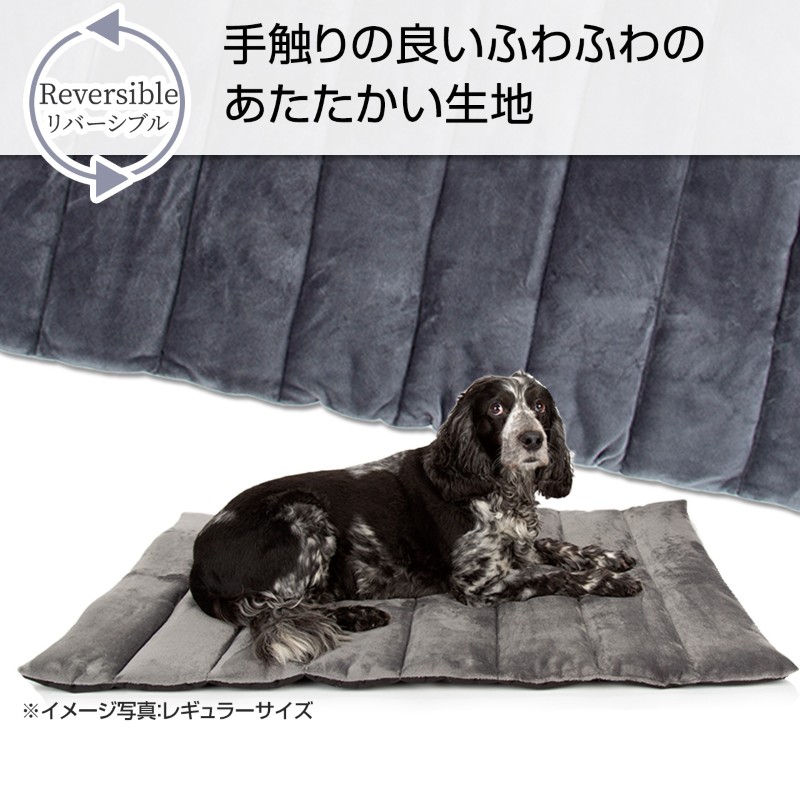 ڥåȥޥå ڥǥ ȥ٥ ٥å  쥮顼 ξ Ȥ   դդ ܥǺ     ڥå ޥå Ф    淿   Ǽݥåդ 쥸㡼  ݸ  ι  ڥå ɥåե scruffs