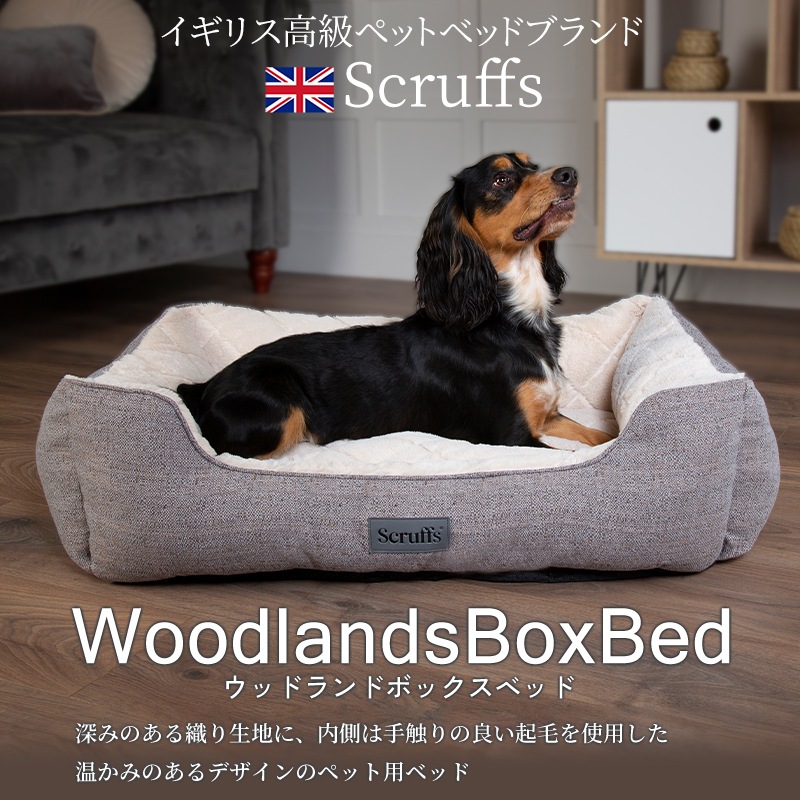 �ڥåȥ٥å� ���åɥ��� �ܥå��� �٥å� L �����ꥹ�ǥ����� ��� �֥��� �ڥåȥ��ե� �� ���� ������ �淿�� �緿�� ǭ ������ ���� �� �� �� �� �ڥå��� ���� �դ�դ� �ե꡼�� ����ƥ��� ���å���� ���ߤ� ��ä��� scruffs