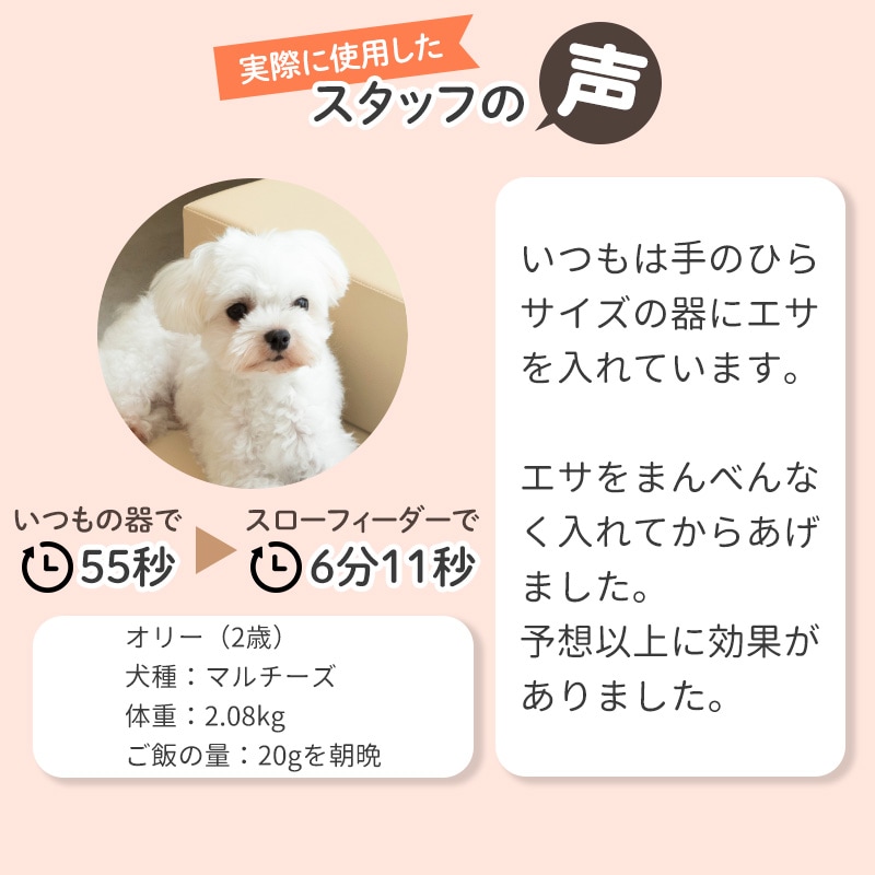 �ڥå� �Ῡ���ɻ߻� �������ե������� �ԥ� �� �Ῡ���ɻ� �ڥ᡼���� ����̵�� �� �ա��ɥܥ��� ���ꥳ�� ���� ������ �������� ��å��ޥå� �Ӥ�� �ʤ�� ��å��ѥå� �Ῡ�� �ݰ��� �ڥå����� ���� ǭ ǭ�� ���ڤ�֥�å��� ������