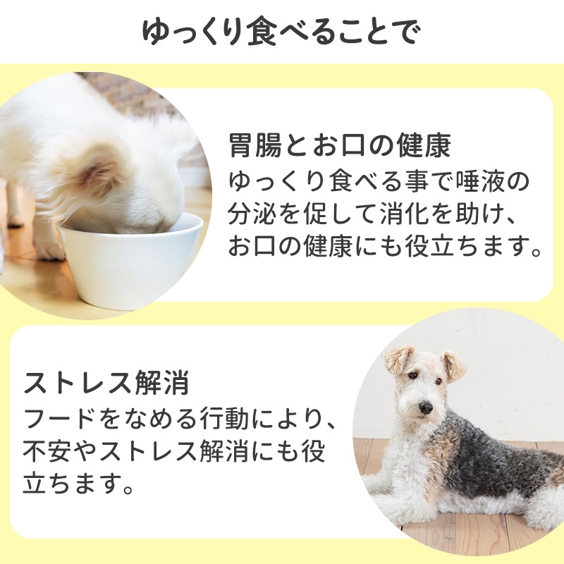 �ڥå� �Ῡ���ɻ߻� �������ե������� �ԥ� �� �Ῡ���ɻ� �ڥ᡼���� ����̵�� �� �ա��ɥܥ��� ���ꥳ�� ���� ������ �������� ��å��ޥå� �Ӥ�� �ʤ�� ��å��ѥå� �Ῡ�� �ݰ��� �ڥå����� ���� ǭ ǭ�� ���ڤ�֥�å��� ������