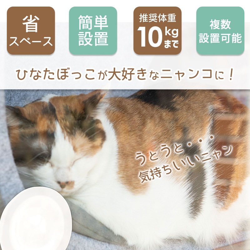 ǭ ���� �٥å� �Ҥʤ� �˥�� �ʥ˥�󥳡� ǭ�� ������ɥ��٥å� ������ɥ� �� �ͤ� �٥å� �ϥ��å� ����åȥϥ��å� �ͥ� ����åȥ٥åɡ������