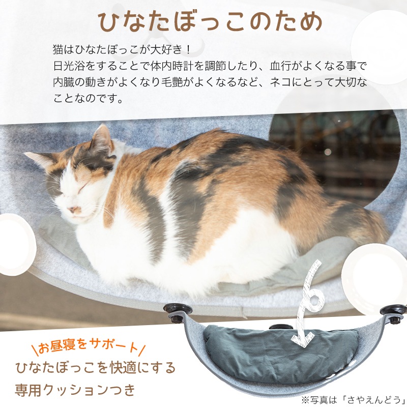 ǭ ���� �٥å� �Ҥʤ� �˥�� �ʥ˥�󥳡� ǭ�� ������ɥ��٥å� ������ɥ� �� �ͤ� �٥å� �ϥ��å� ����åȥϥ��å� �ͥ� ����åȥ٥åɡ������