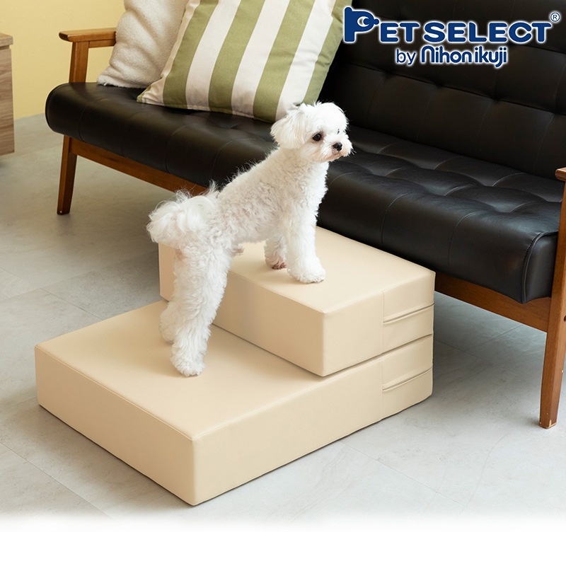 2WAY�ڥåȥ��ƥå�(�顼���� �ڥåȥ��� 2WAY �ڥåȥ��ƥå� �ɥå� ���ƥå� ���ߤ� ���Ԥ�51cm  �ڥå� ���ƥå� ���� ������ �淿�� ���⸤