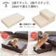 2WAY�ڥåȥ��ƥå�(�顼���� �ڥåȥ��� 2WAY �ڥåȥ��ƥå� �ɥå� ���ƥå� ���ߤ� ���Ԥ�51cm  �ڥå� ���ƥå� ���� ������ �淿�� ���⸤