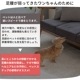 2WAY�ڥåȥ��ƥå�(�顼���� �ڥåȥ��� 2WAY �ڥåȥ��ƥå� �ɥå� ���ƥå� ���ߤ� ���Ԥ�51cm  �ڥå� ���ƥå� ���� ������ �淿�� ���⸤