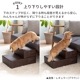 2WAY�ڥåȥ��ƥå�(�顼���� �ڥåȥ��� 2WAY �ڥåȥ��ƥå� �ɥå� ���ƥå� ���ߤ� ���Ԥ�51cm  �ڥå� ���ƥå� ���� ������ �淿�� ���⸤