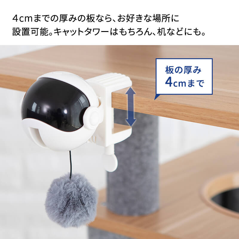 ưͤ餷 ˥󥳥衼衼 ǭ   ư ǭ 餷 ͤ ͥ ǭ å åȥ åȥĥ꡼ åȥ ƥå    к