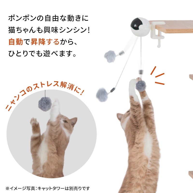 ưͤ餷 ˥󥳥衼衼 ǭ   ư ǭ 餷 ͤ ͥ ǭ å åȥ åȥĥ꡼ åȥ ƥå    к