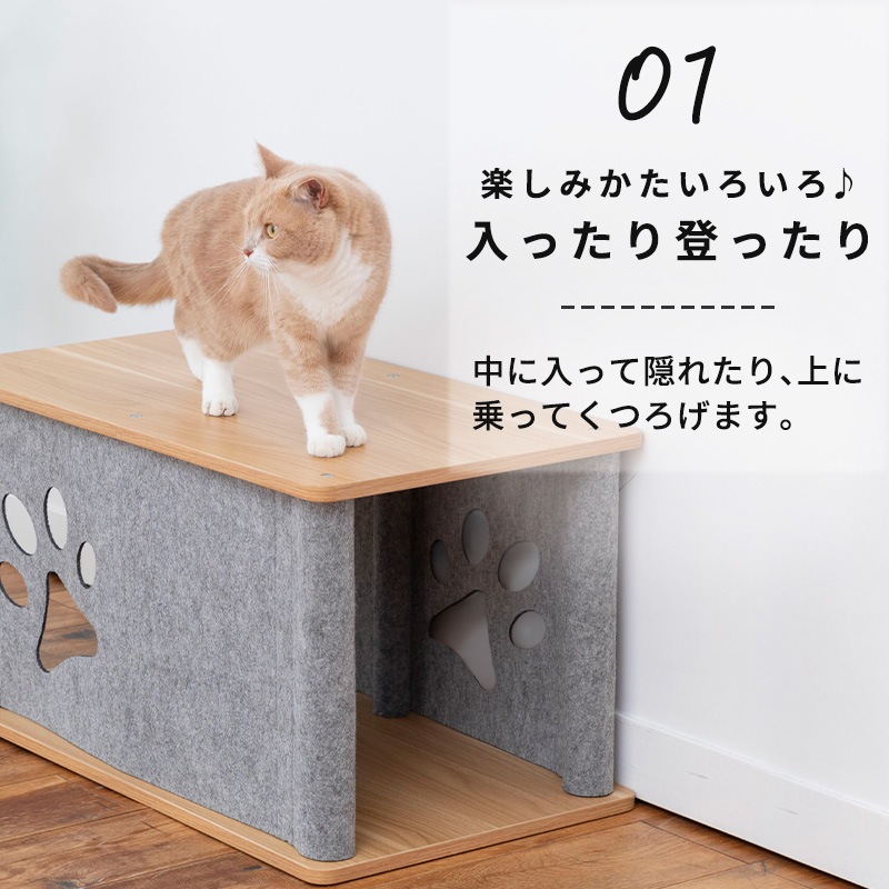 ˥󥳥Υ (ȥͥ&ġ) ǭ ͤ å ȥͥ ͥ ڥå ϥ   ػ     ɥå   ̲ ץ ѥ ¿Ƭ ˥ ǭ 졼  緿ǭ